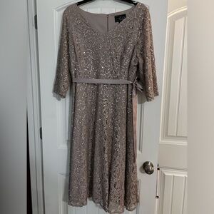 Alex Evenings Lace and sequin dress